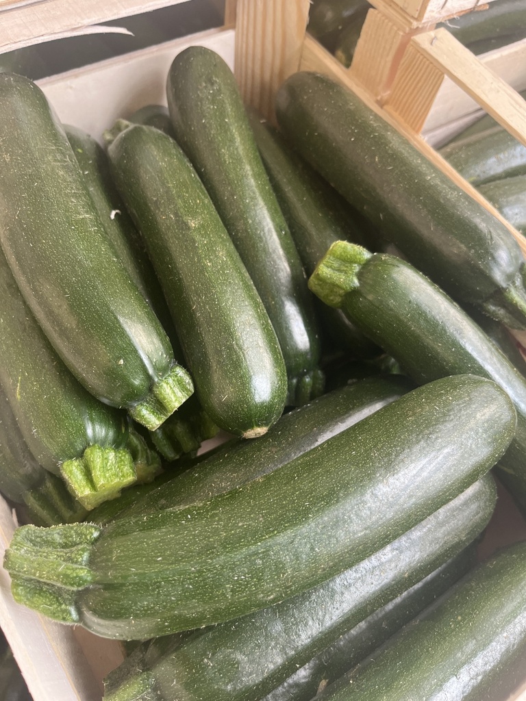 Courgette - IT