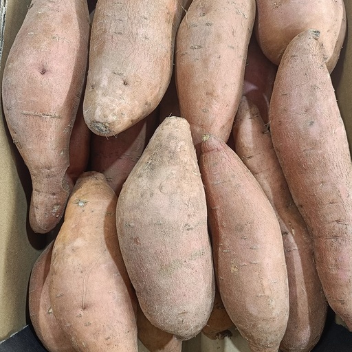 Zoete aardappelen (SP)
