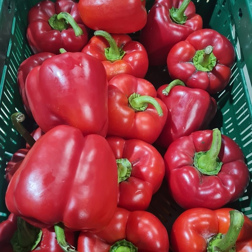 Paprika rood - EcoVeg