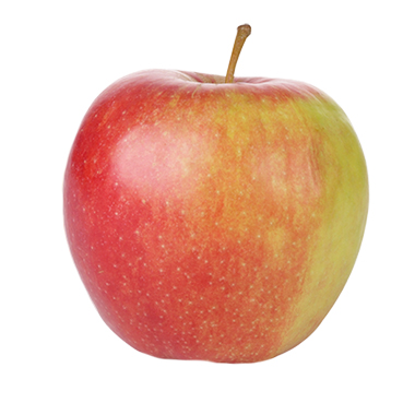 Appel Jonagold Groot FR 1kg