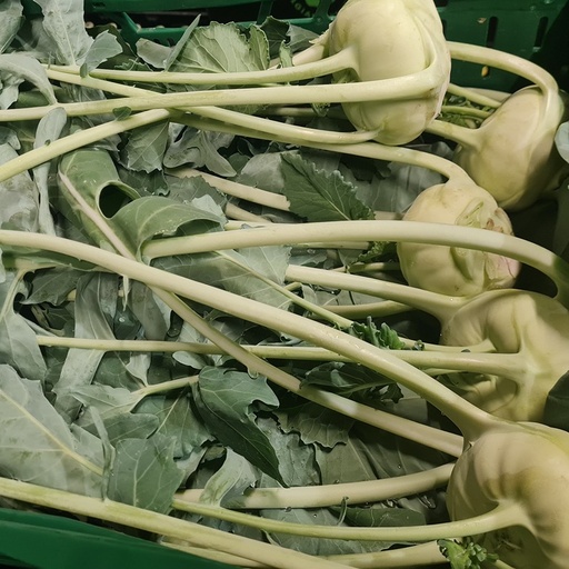 Koolrabi (Goed ter Heule & Groenlof)